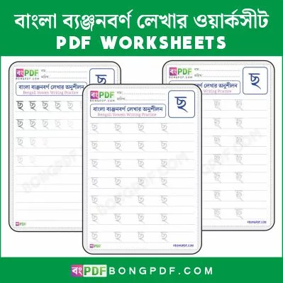 assignment on developing writing skills pdf in bengali