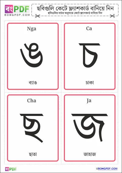 Bengali Consonants Flashcards PDF