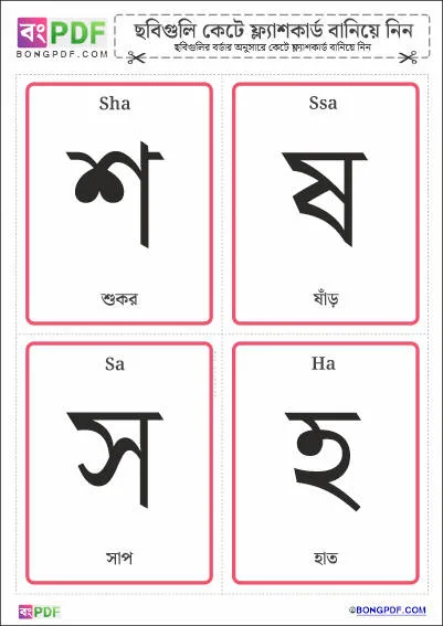 Bengali Consonants Flashcards PDF Download